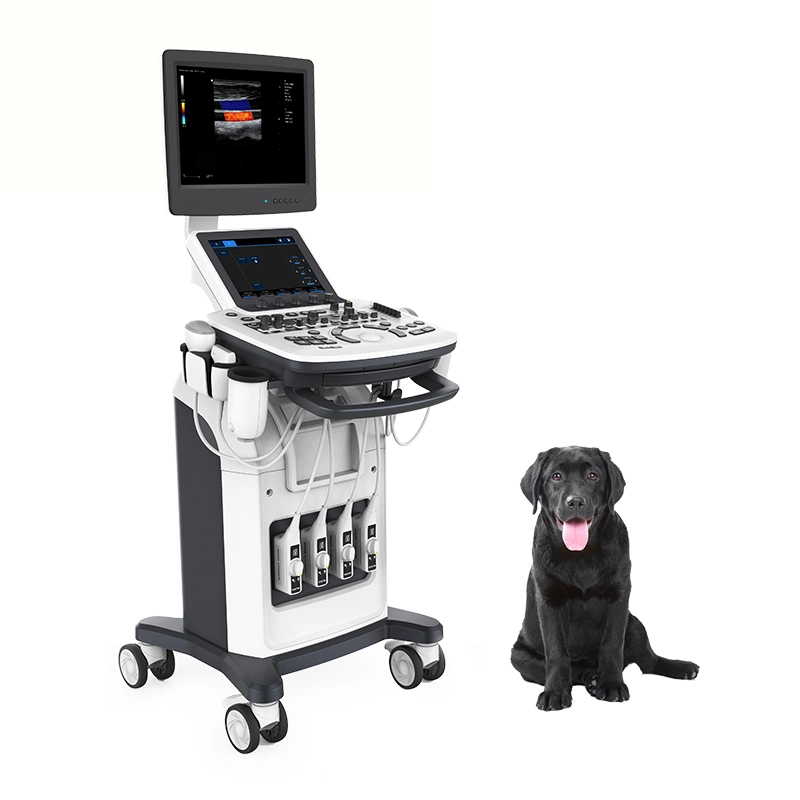 Médico Veterinario móvil digital de Ginecología y Obstetricia Cardiología USG Doppler Color de la máquina 3D 4D de la máquina de ultrasonido escáner con la impresora