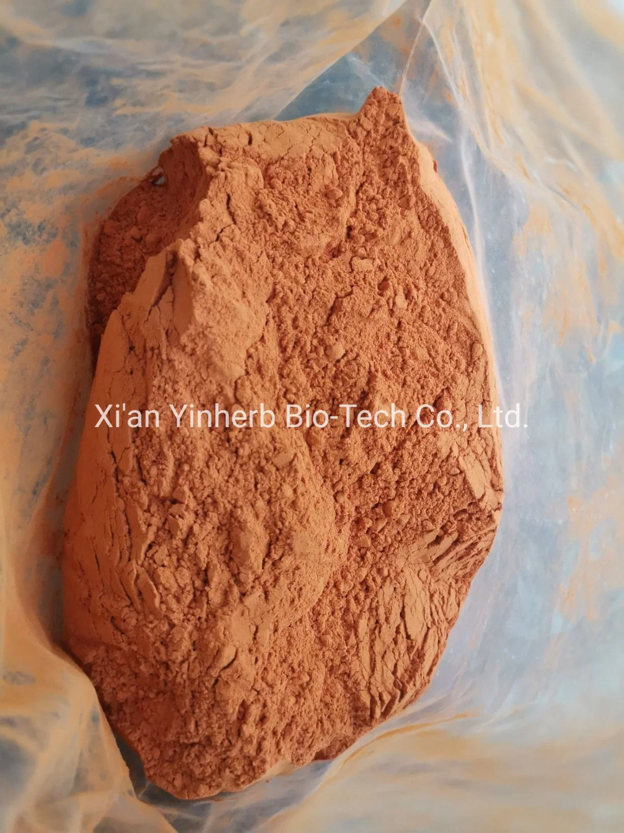 Yinherb Supply New Researched Chemicals 99% Purity in Stock Raw Powder 5-Amino-1mq / Nnmti CAS. 42464-96-0