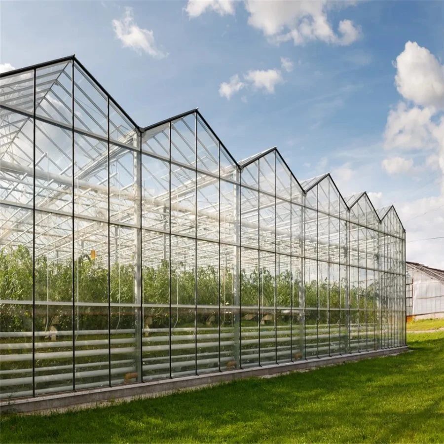 Vegetable Planting Commercial PC Polycarbonate Panel Solar Greenhouse