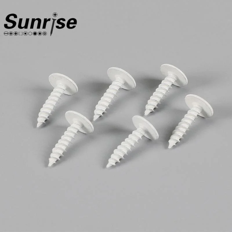 High quality/High cost performance Surface Carbuizing Treatment Surface of White Ruspert Coating Tapping Screw