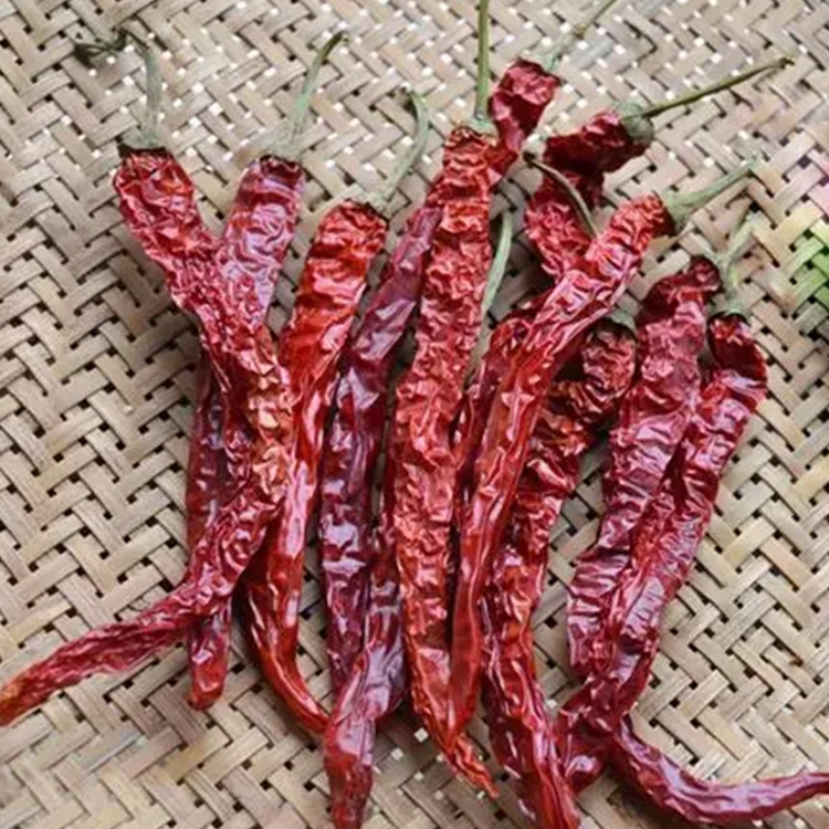 The Delicious Chinese Hot Chili Is Very Popular