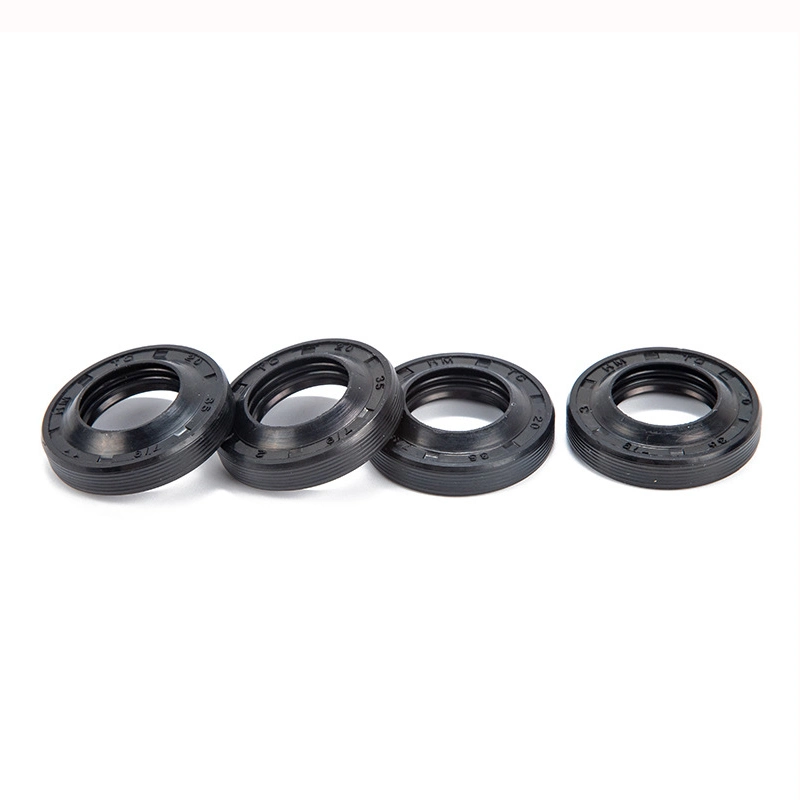 Electric Vehicle Motor Oil Seal Bearing Seal Ring Nitrile Fluororubber Tc Skeleton Oil Seal Rubber NBR FKM Oil Seal Directly Supplied by The Nanufacturer