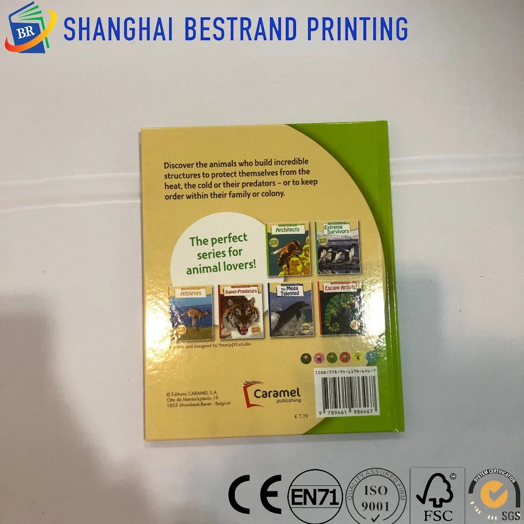 High Quality Jagene Children Book Printing with Recyclable Paper