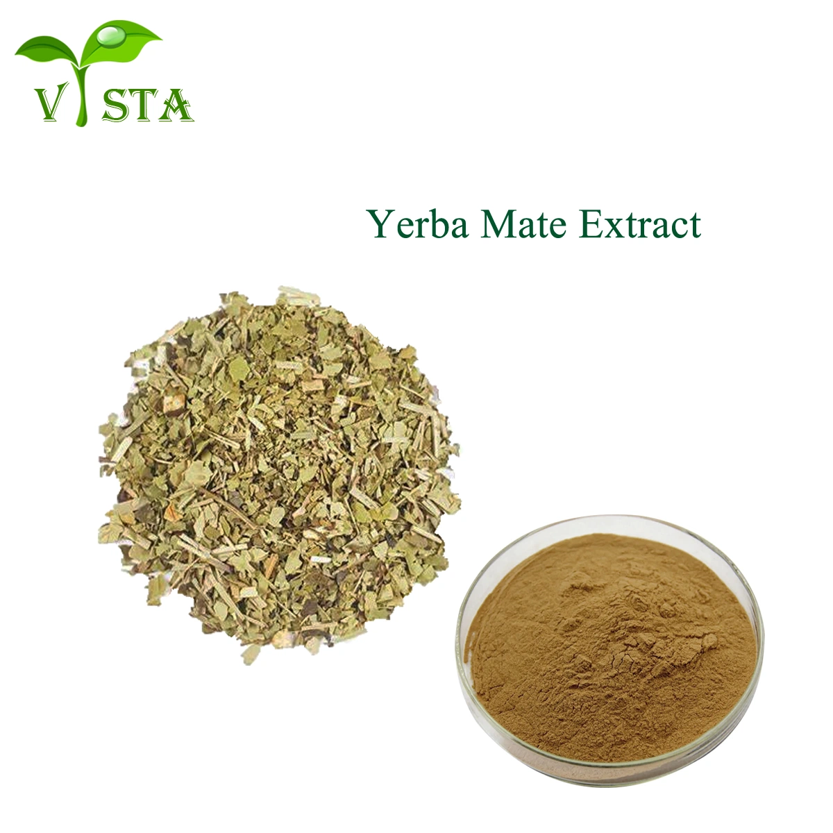 High Quality Bulk Supply Tea Powder Coffeine 5%~10% Ilex Paraguariensis Yerba Mate Extract