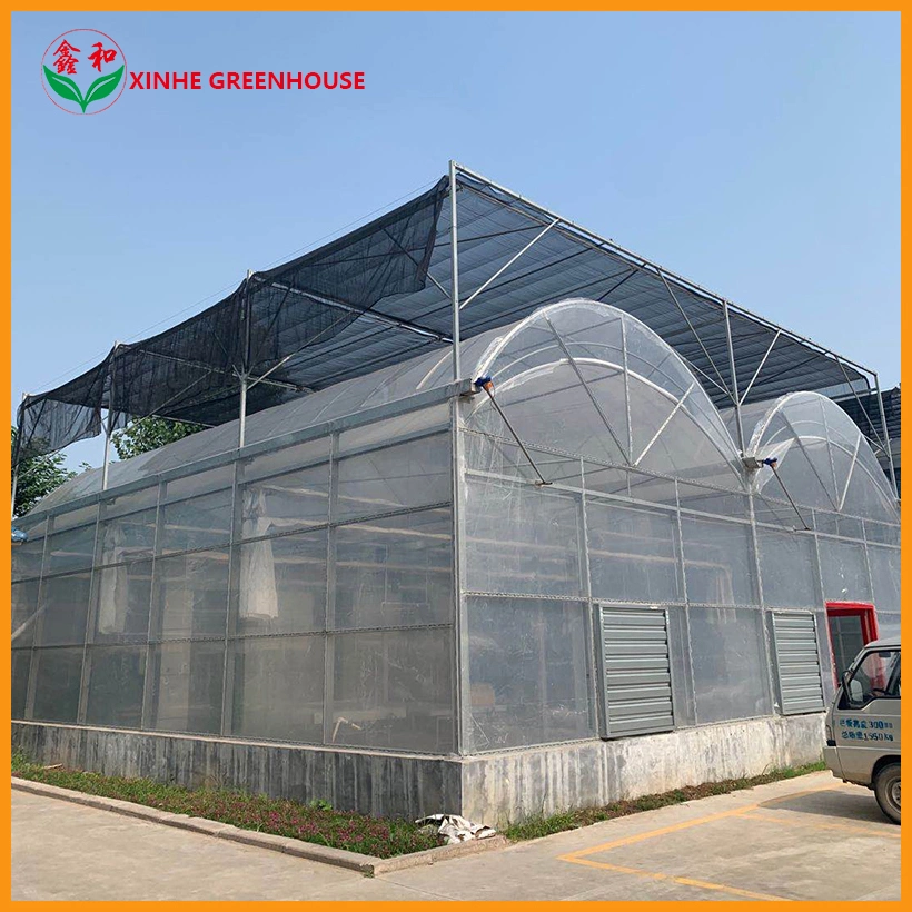 Invernadero Film Greenhouse with Hot DIP Galvanized Steel Frame