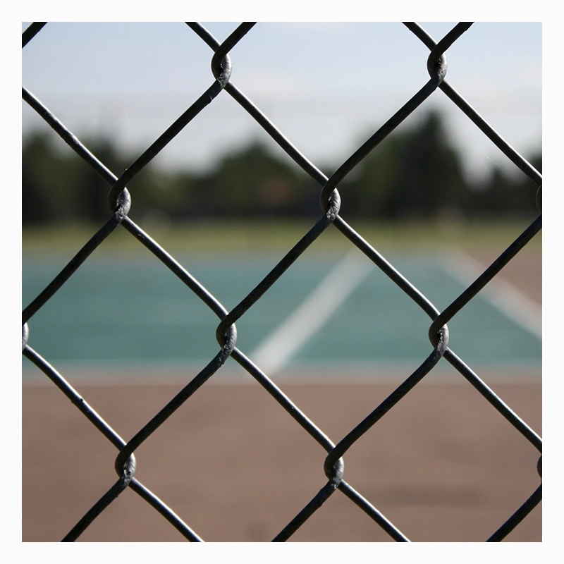 Chain Link Fence Commercial Galvanized Steel Metal Heat Treated Pressure Treated Wood Type Powder Coated