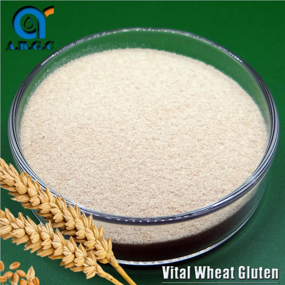 Grueso Wholesales Vital de gluten de trigo de calidad alimentaria de alto valor proteico no OMG Gluten de trigo de vital importancia vital de gluten de trigo