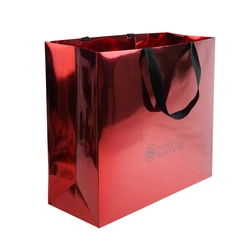 Custom Logo Printed Promotion Luxury Retail Cosmetic Garment Shoes Packaging Black 250 GSM Art Paper Shopping Bag for Clothes