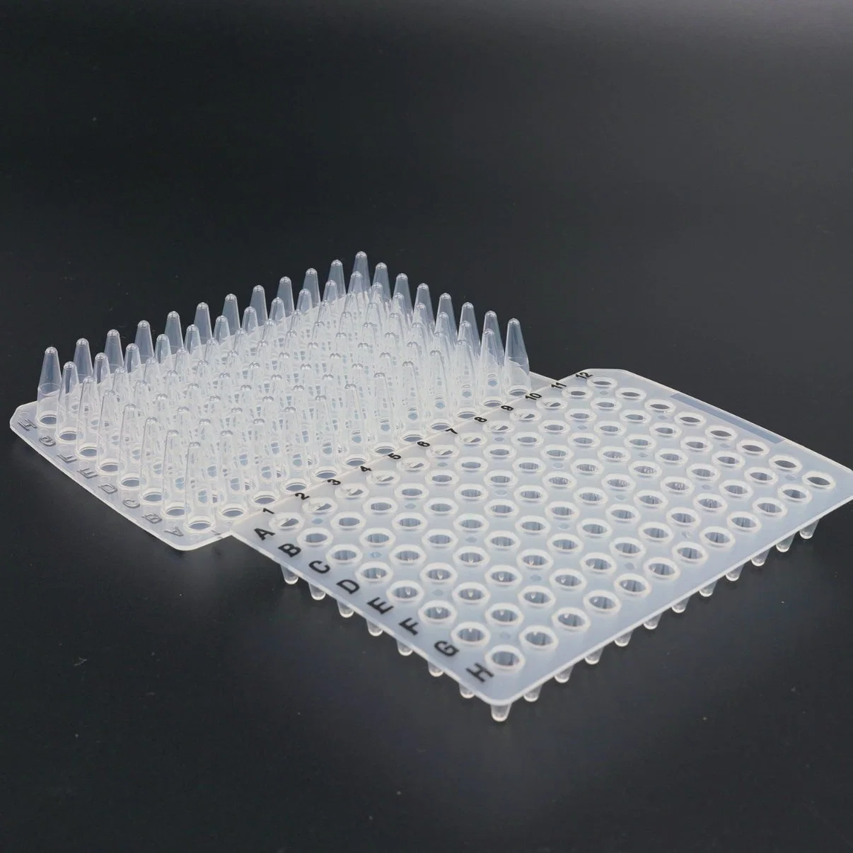 Os consumíveis de laboratório fornecem uma placa de poços fundos transparente em polipropileno de 24 poços