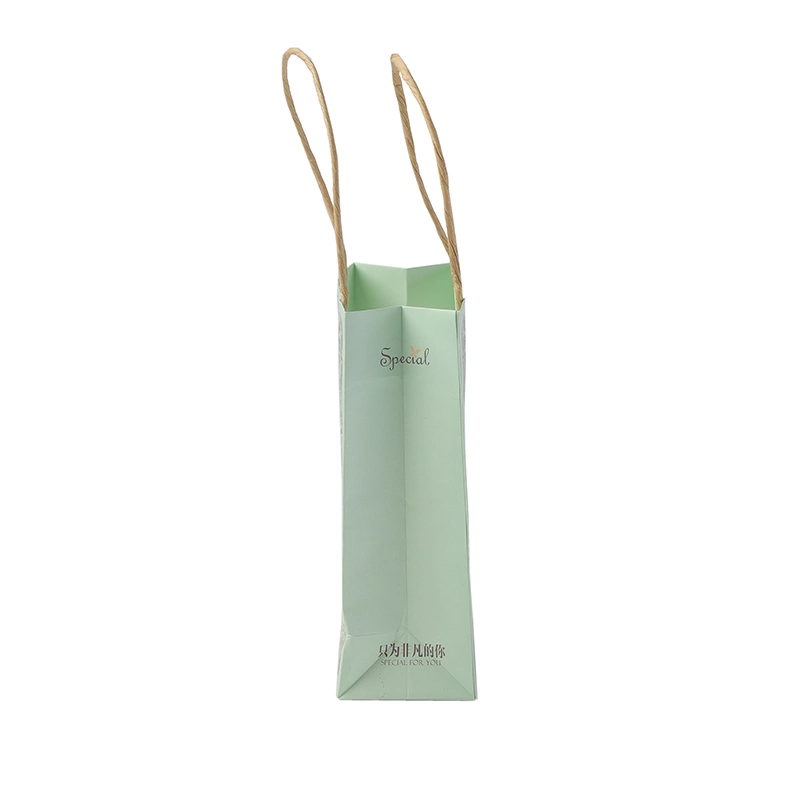 Custom Printed Your Own Logo Green Kraft Gift Craft Shopping Paper Bag with Handles