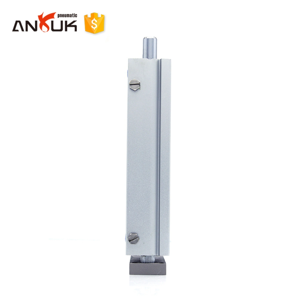 Compact Ball Bearing Guide Pneumatic Cylinder Mgpm Type