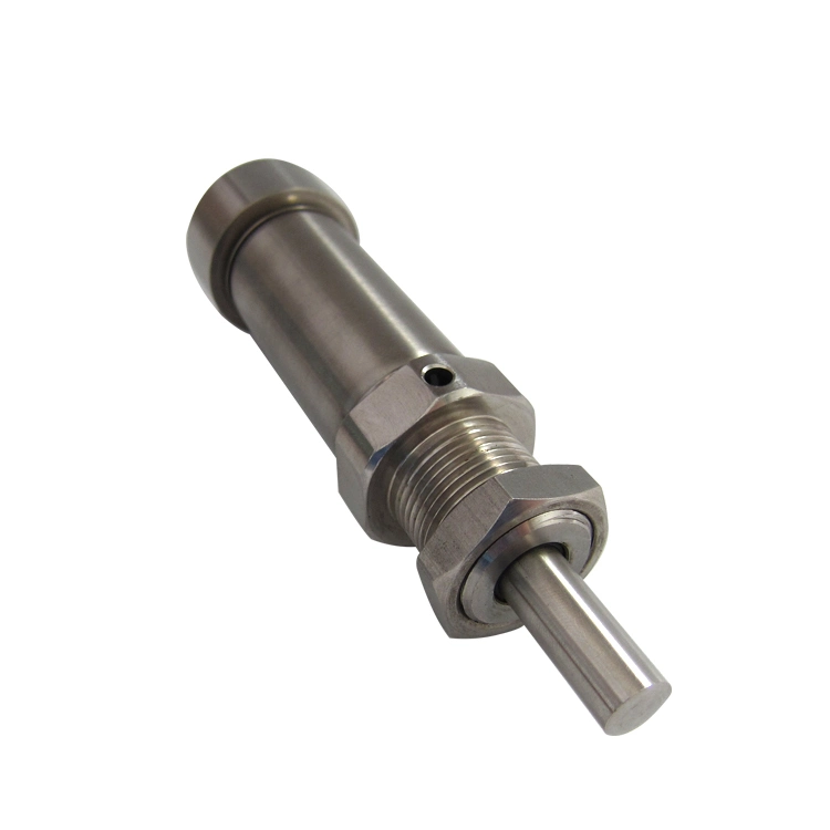 Densen Customized CNC Micro Small Stainless Steel Part Compressed Pneumatic ISO Mini Air Cylinder