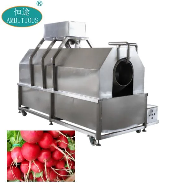 Beet and Beetroot Washer and Sugar Beet Red Small Radish Washing Machine