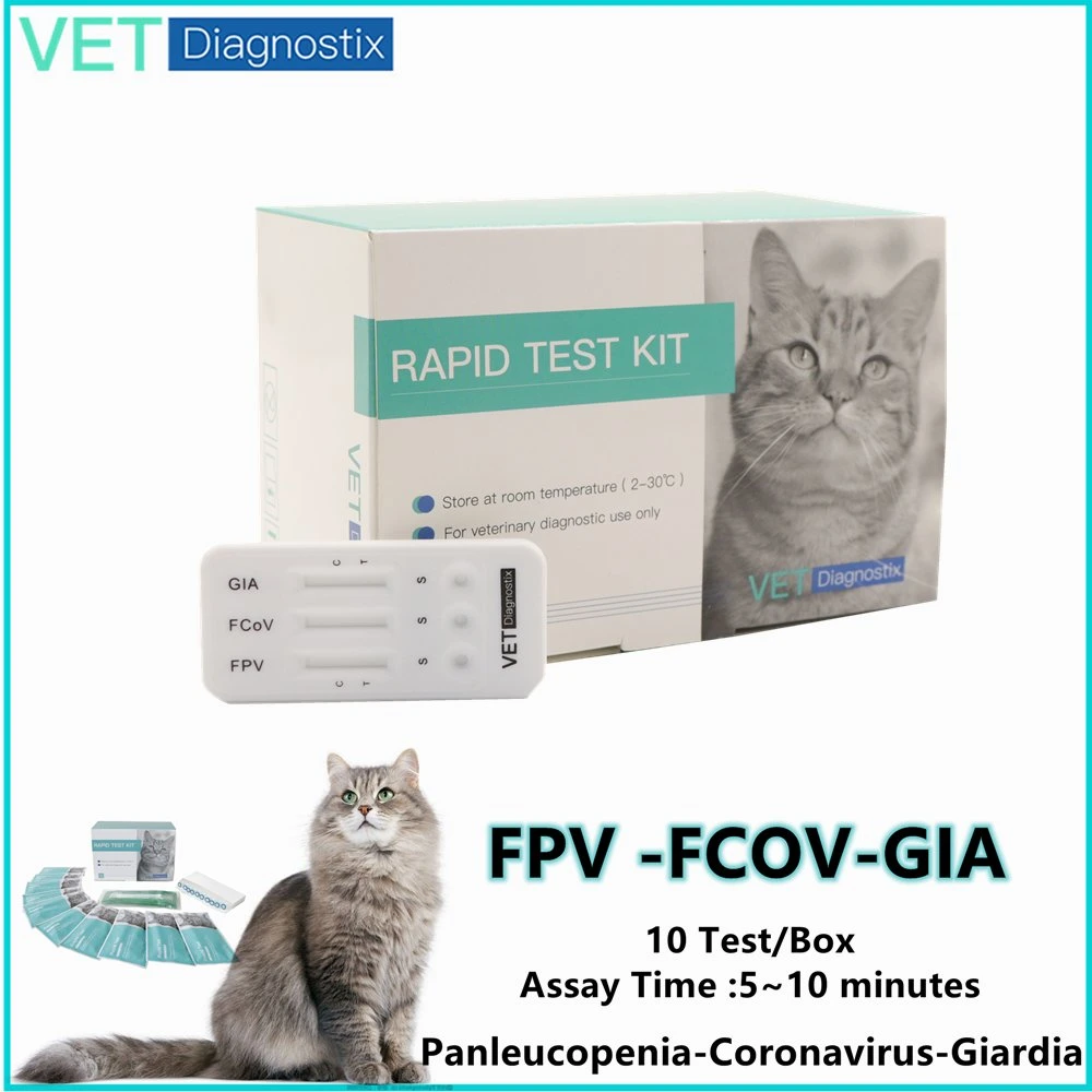 Fpv Fcov Gia panleucopenia felina de prueba/Coron/Giardia Combo Test rápido