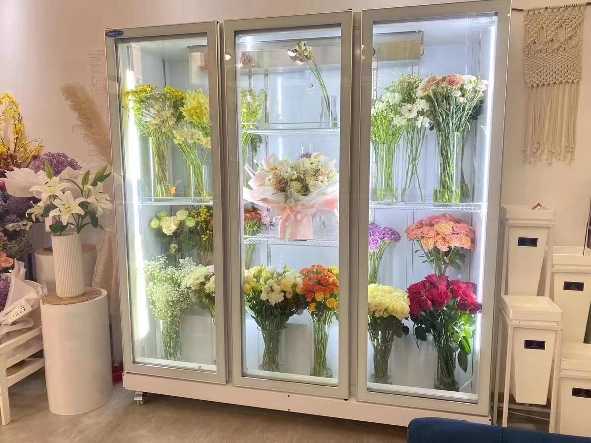 Upright Glass Door Display Fridge for Flower