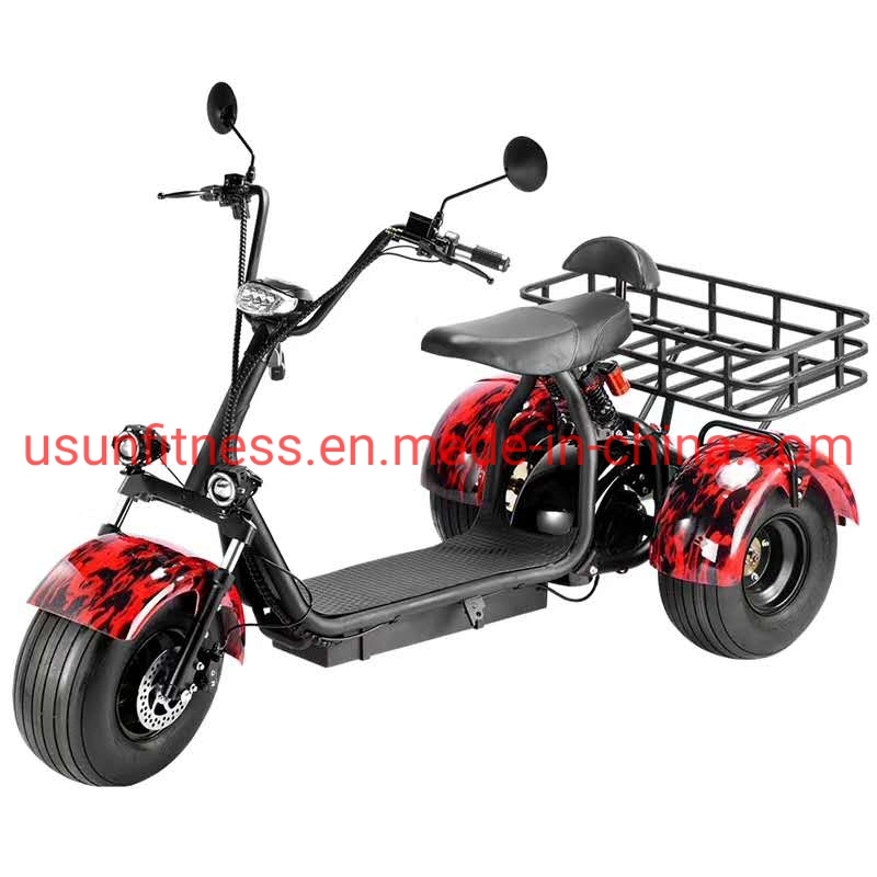 Special Vehicles for Farms and Gardens 3 Wheels Electric Scooter and Scooters Electric Motorcycle Tricycle Cargo