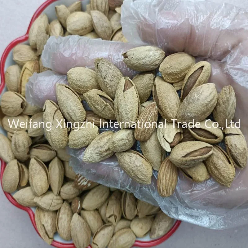 Wholesale/Supplier Healthy Thin Skin Almond Roastd Almond