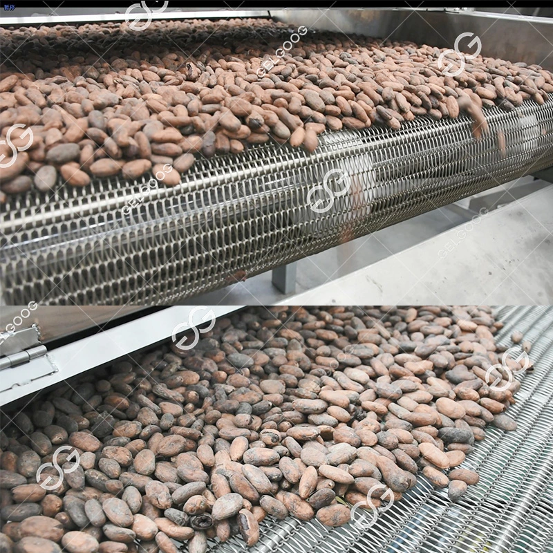 Gelgoog Automatic Cacao Bean Processing Machine Nibs Liquor Equipment Cocoa Powder Butter Production Line