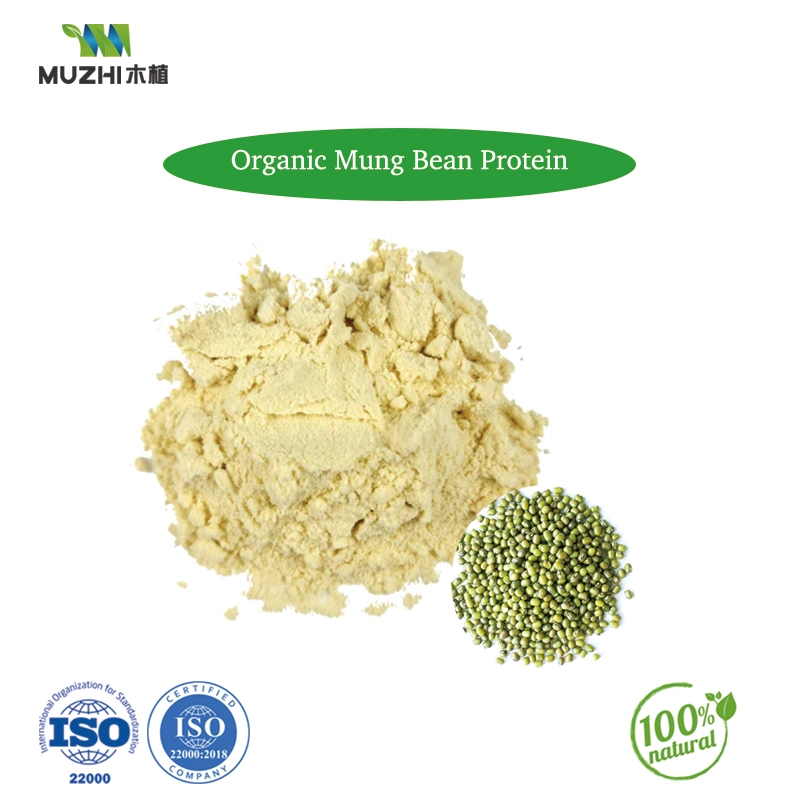 Bio Mungbohne Protein Natürliche Kräuterpflanze Extrakt