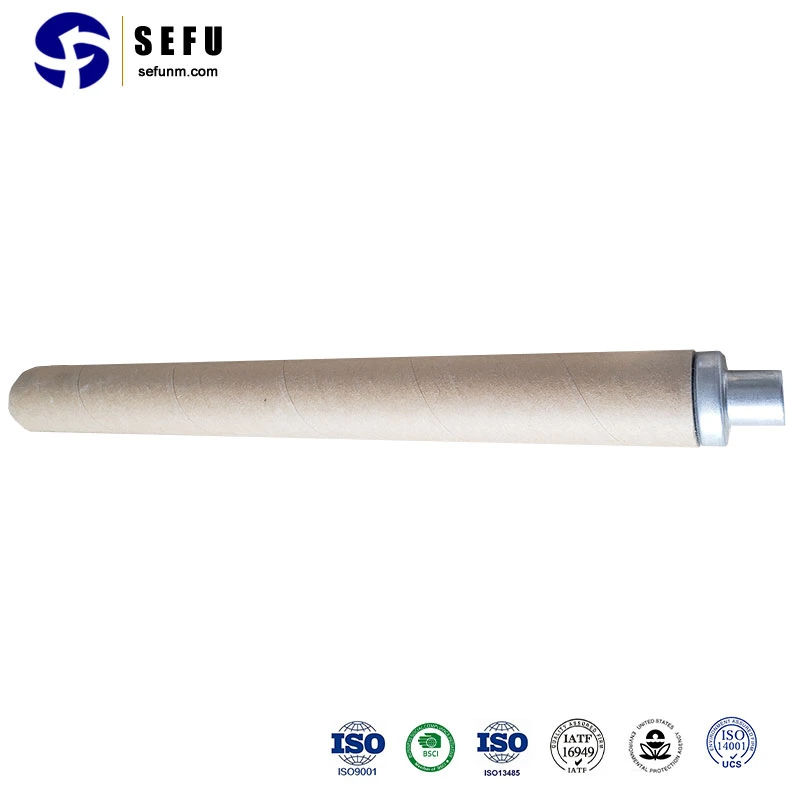 Sefu China Expendable Thermocouple Tip Manufacturing Fast Thermocouple Immersion Thermocouple Probes with Connection Head