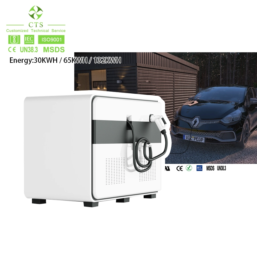 Vente à chaud DC200V-750V stockage d'énergie secours routier DC rapide Chargeur de batterie mobile portable pour station de charge