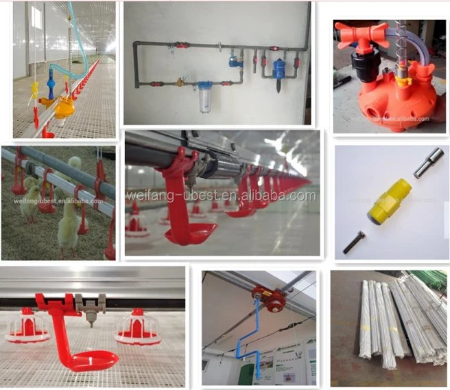 Automatic Poultry Feeding and Drinking System for Chicken Farm House Ground Floor Raising Keeping Equipment