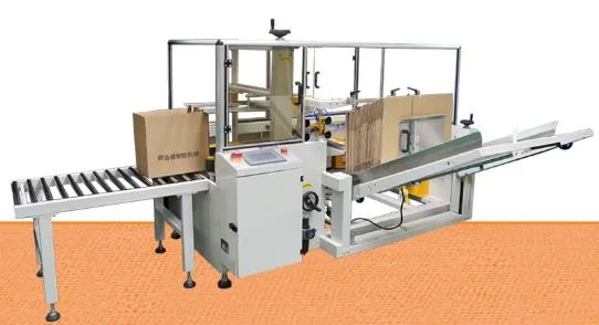 Grappling-Type Carton Opening Packing Sealing Machine for Plastic Glass Bottle