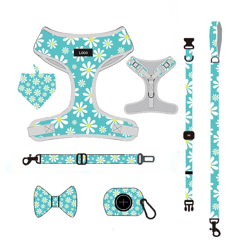 Wholesale/Supplier Custom Logo PVC Dog Harness Leash Collar Sublimation Patterns Dog Leash Collar and Harness Set Dog Harness and Leash/Pet Accessory/Pet Accessories