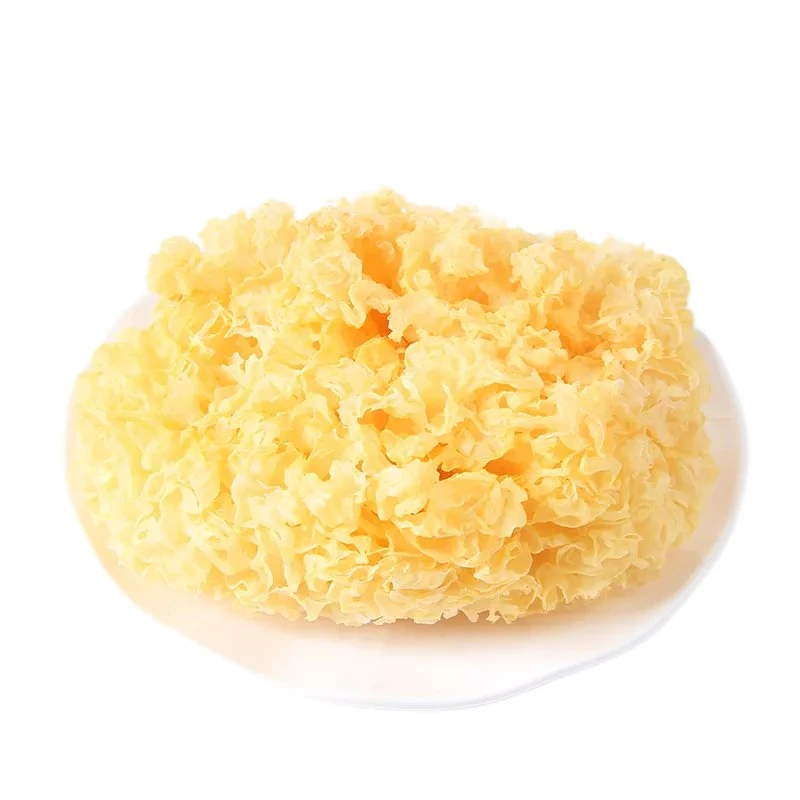 China Wholesale/Supplier Fresh Yin Er Tremella White Snow Fungus for Mushroom Dishes