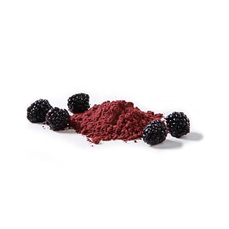 Ttn Sale of Freeze Dried Blackberry with Dried Black Berry Prices