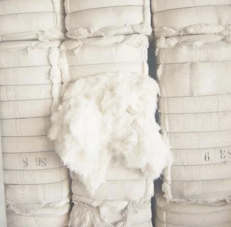 Cheap Raw Cotton Fiber Factory Wholesale/Supplier with Free Samples