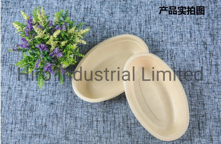 Oval Salad Bowl Disposable Sugarcane Tableware Biodegradable Bagasse Plate