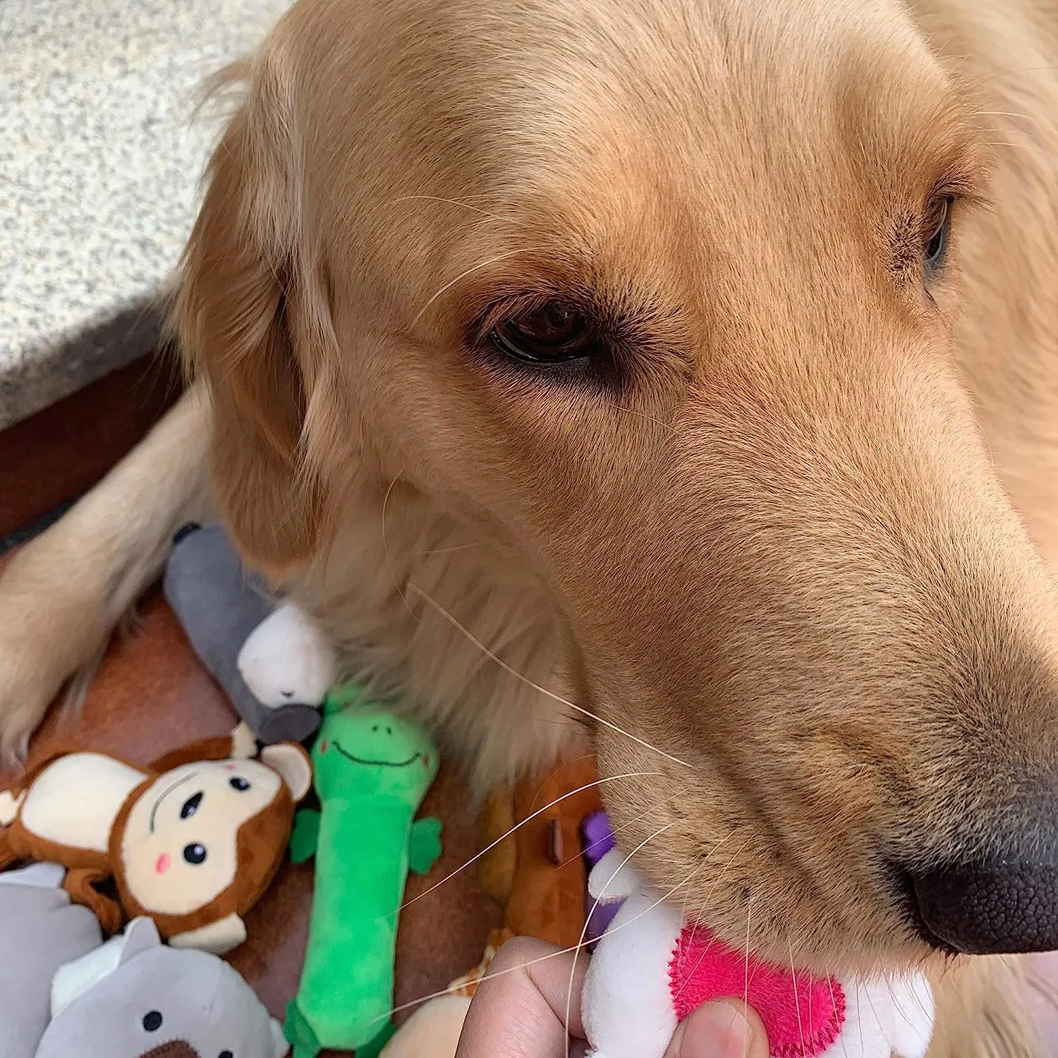 Animais de pelúcia Dog cachorro de brinquedo brinquedos estridente adorável Pet brinquedos de pelúcia