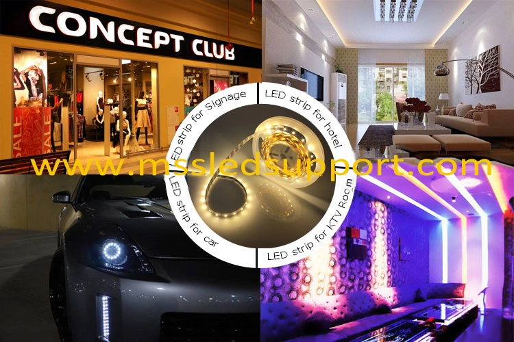 Project Lights Bar Light LED Strip Lights 2835 60 LED