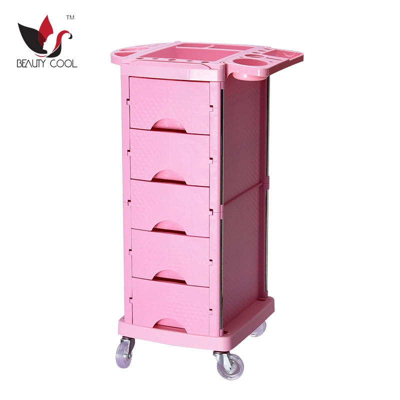 T08 Beautycool New Beauty Salon Trolley Salon Equipment