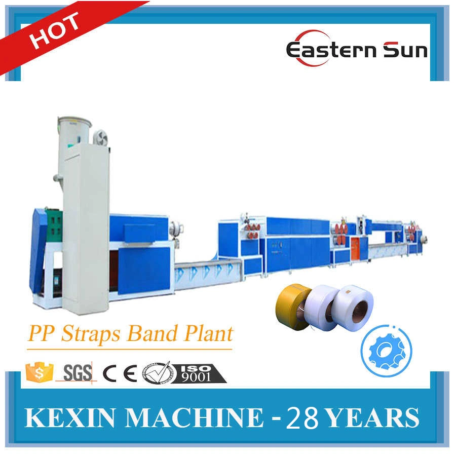 Flat Plastic Pet Sheet PP Strap Belt Making Extrusion Machine Plastic Extruder