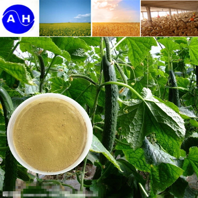 Amino Acid Powder 52% Organic Fertilizer Plant Source