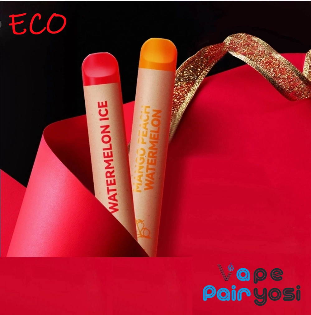 Wholesale/Supplier Custom Eco Revive Peakbar Paper Tube E Hookah Shisha Pen