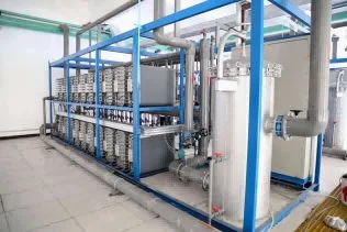 1000lph All Stainless Steel Reverse Osmosis Equipment Directly Drinking Water RO System