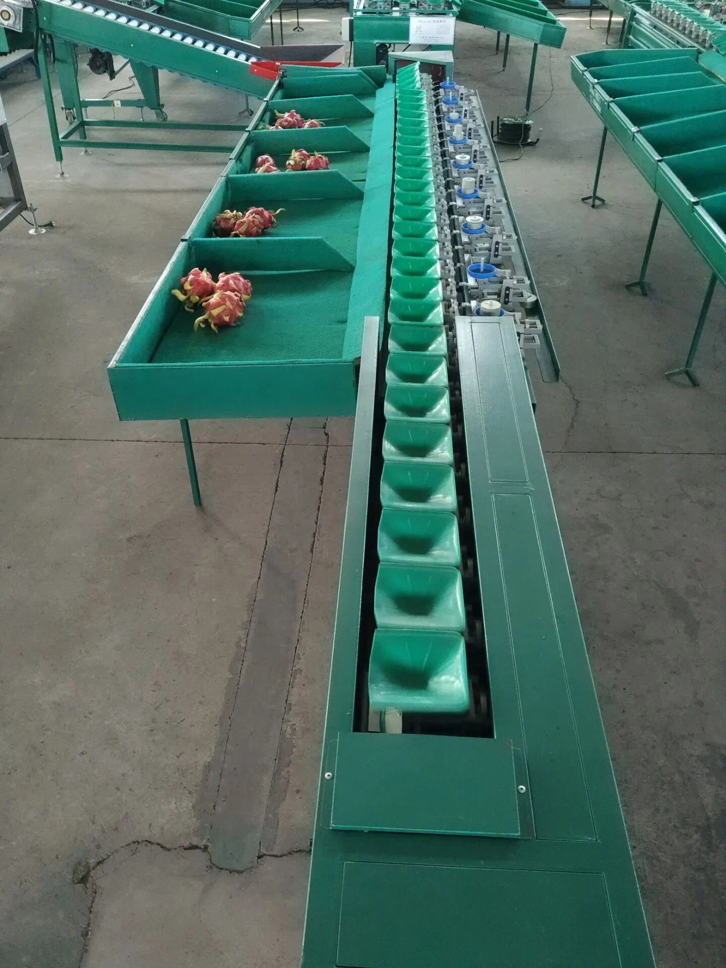 Citrus Fruit Tomato Sorting Machine Dragon Fruit Sorting Machine