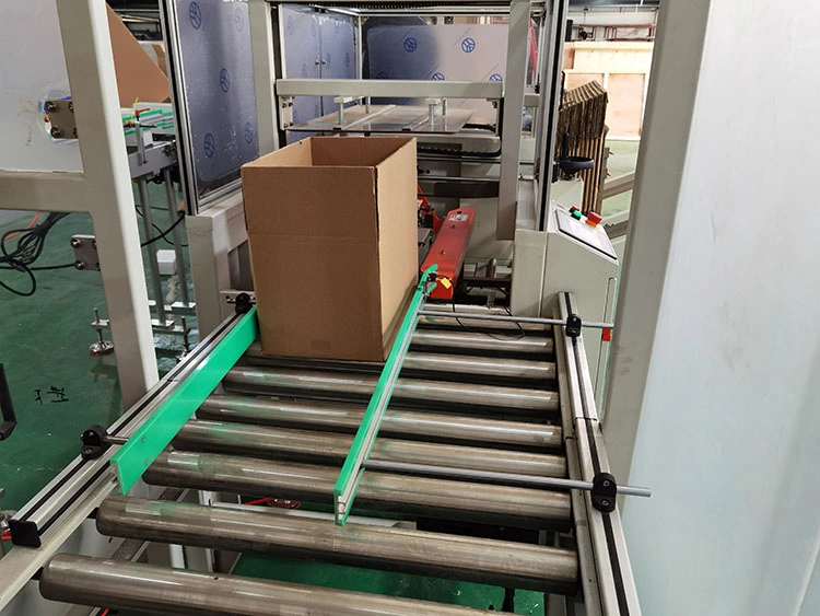 Automatic Case Packer / Case Erector / Carton Box Packing Machine with Factory Price