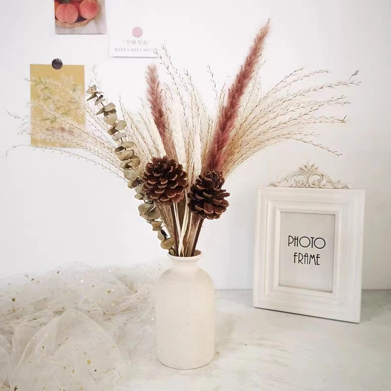 Hot Natürliche Wohnkultur Hochzeitsgeschenke Trockene Pflanzen Bouquet Pampas Getrocknete Blumen