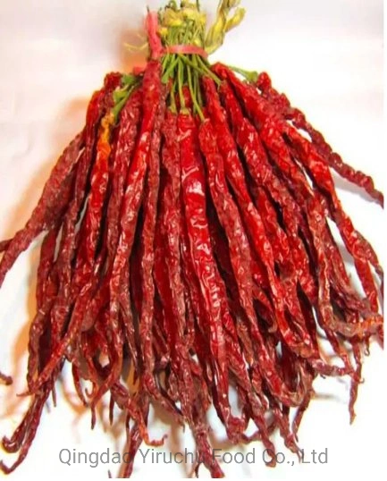 New Crop Air Dried Type Dry Red Chilli