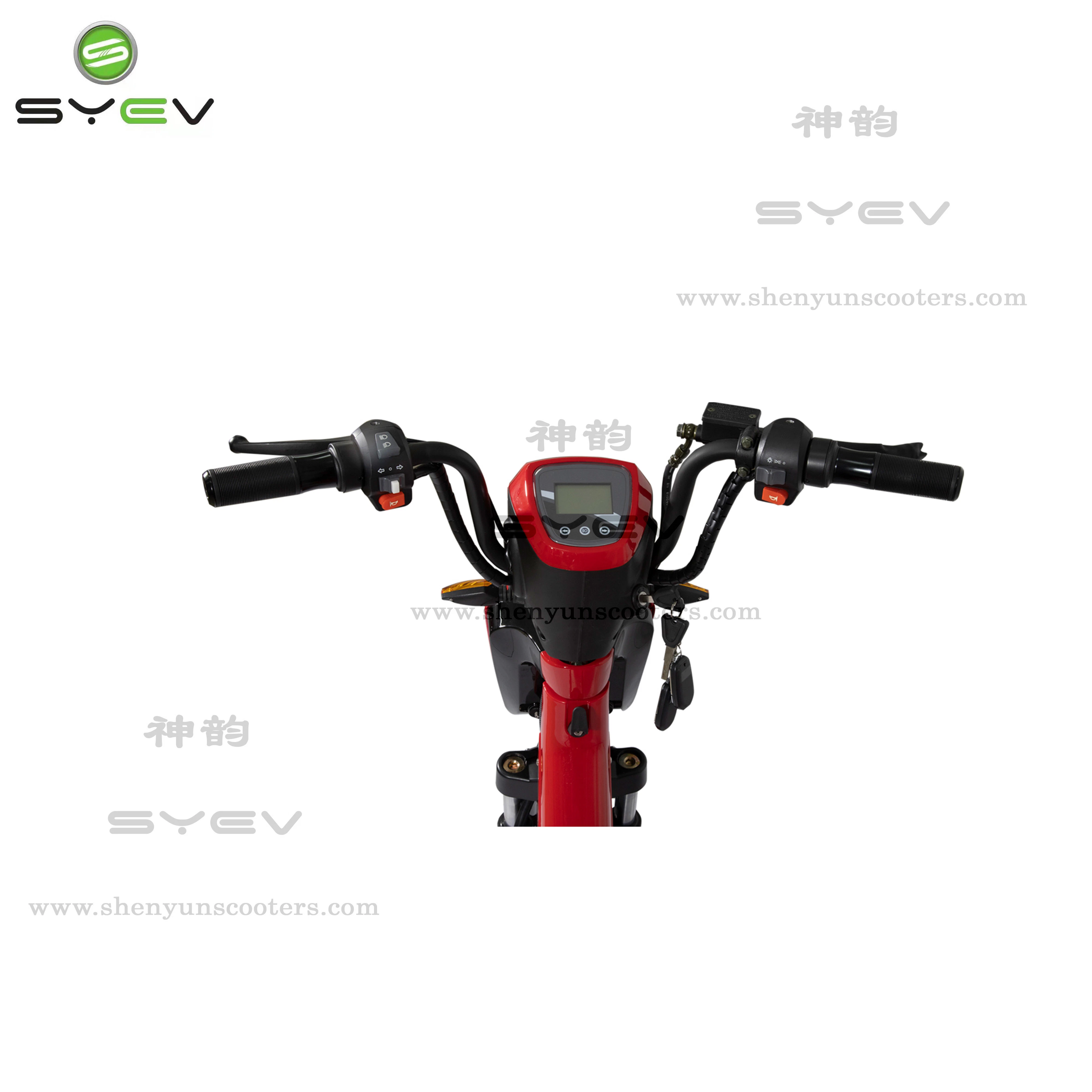 350W Powerful with CE Electric Bicycle