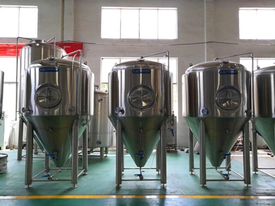 Cassman 1500L Stainles Steel Commercial Conical Beer Fermentation Tank