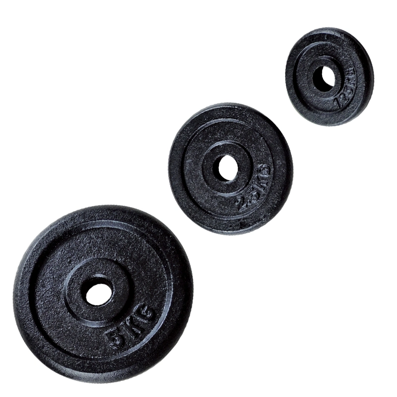 Popular Gray Weight Plate Dumbbell Plate with Different Weight