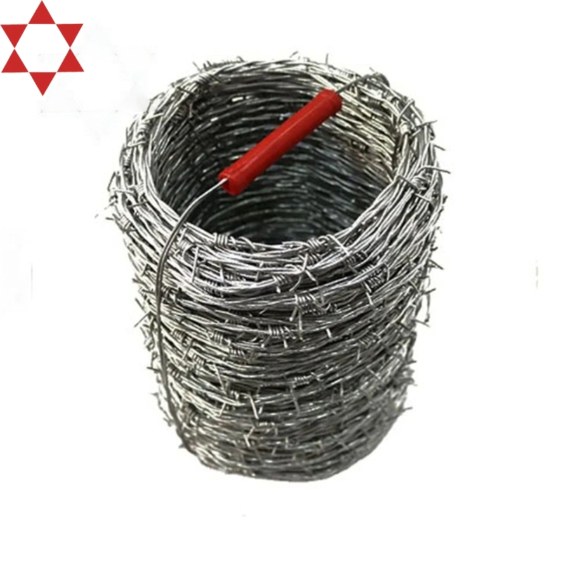 Factory Direct Sale Hot-Dipped Galvanized Secure Barbed Wire Fence