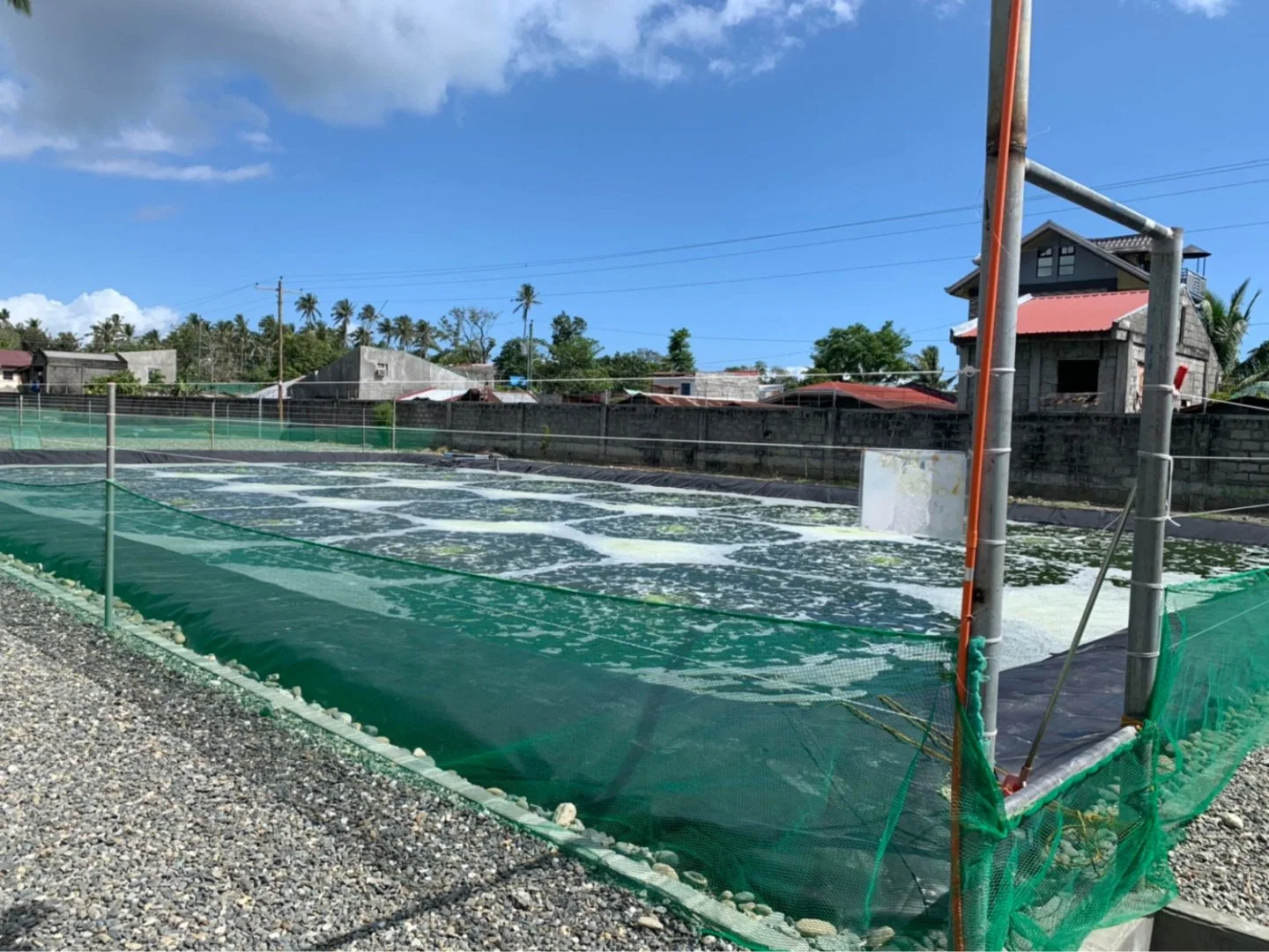 Melhor Preço 2 mm de HDPE membrana impermeável de plástico para a Lagoa do Camarão