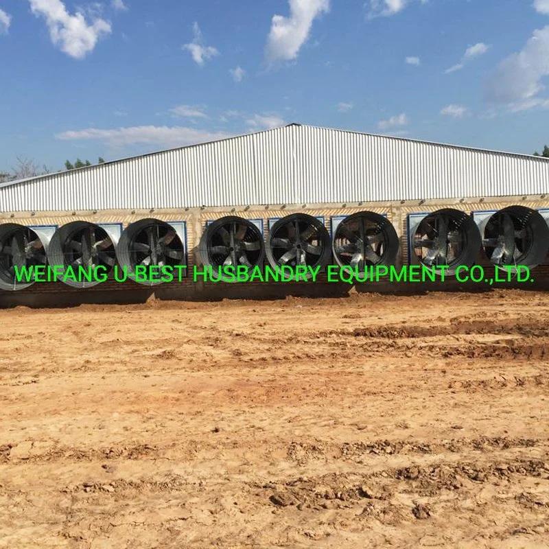 Poultry Farming Equipment with Silo Feeding System Pan Feeding Line Nipple Drinking Line Cooling Pad Ventilation for Broiler