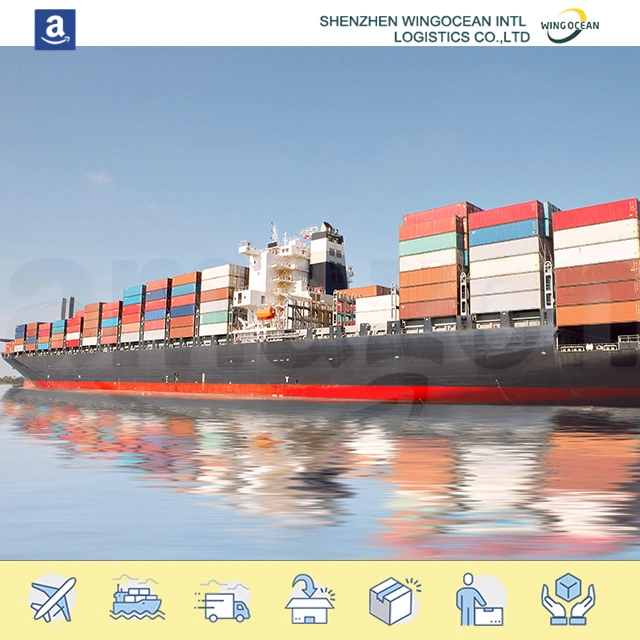 Safe and Fast Shenzhen Logistics Forwarder Sea Freight Shipping Cargo to UK/ Germany/ France/ Spain/ Italy